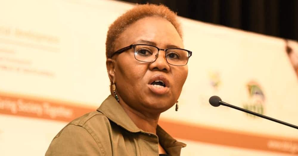 Lindiwe Zulu, on Zimbawean Exemption Permit, countries must look after own citizens