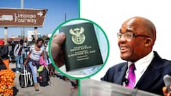 Minister Aaron Motsoaledi exposes inability to count illegal migrants: "StatsSA cooked those stats!"