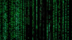 10 types of hackers to be aware of: What can they do?