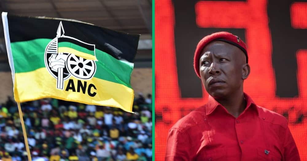 EFF leader Julius Malema says he is "fine" with being excluded from Brics dinner