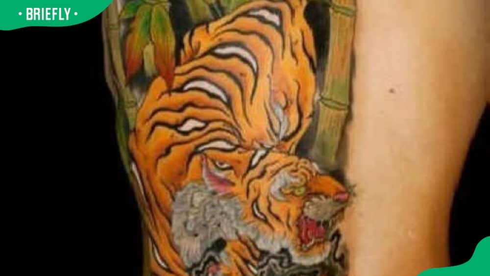 Japanese tiger and bamboo tattoo design