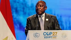 Cop27: Ramaphosa secures additional R10bn for energy transition, SA thinks pledge is “suspicious”
