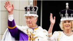 King Charles III Enters Guinness Book of World Records for Longest Wait to Ascend to Throne