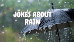 100+ jokes about rain: rib-cracking puns that will change your mood
