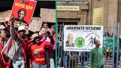 Economic Freedom Fighters members support Jacob Zuma in viral video