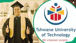 TUT courses available for 2024-2025: complete list with faculties, requirements