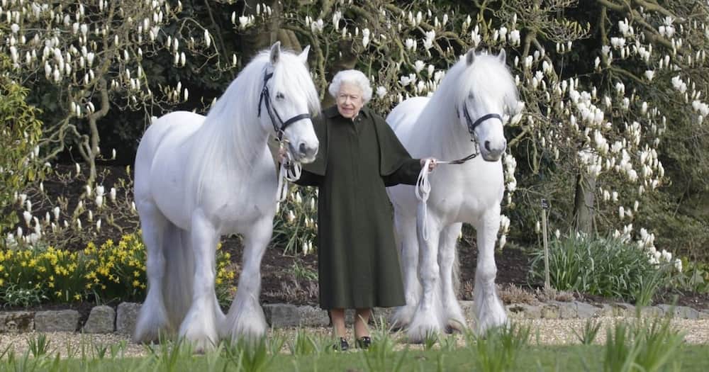 Royal Windsor Horse Show, New Photo, Queen Elizabeth II, Horses, 96th Birthday