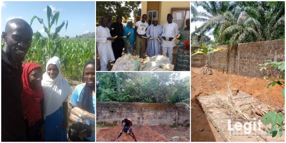 Chiemezie Ezeani: Another Nigerian Graduate who Has Taken Farming as a Full Time Occupation, Shares His Story