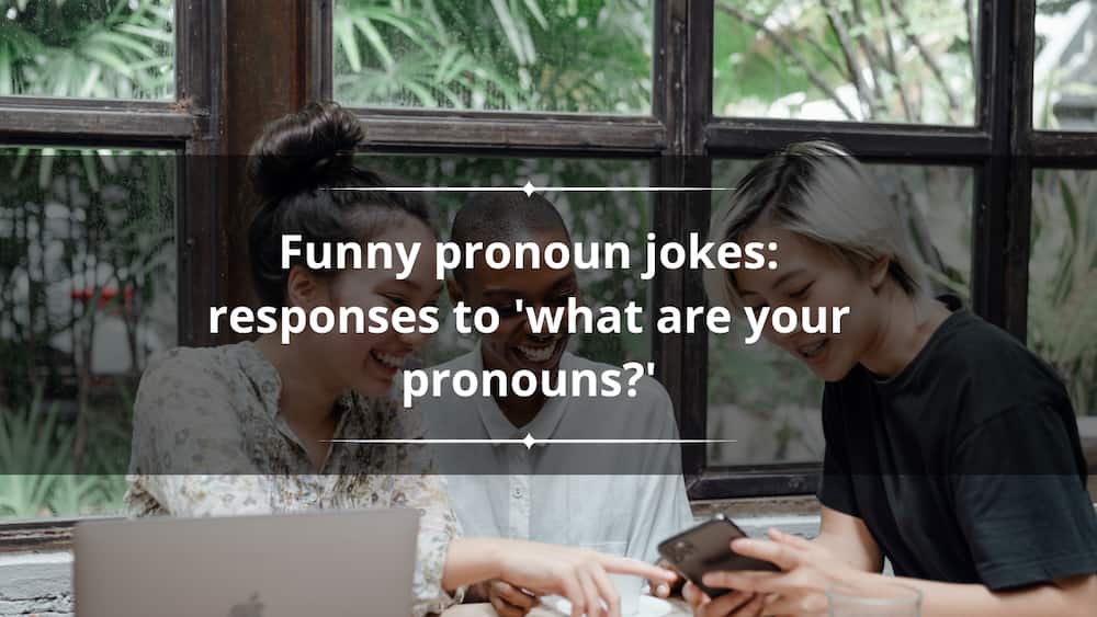 funny pronouns