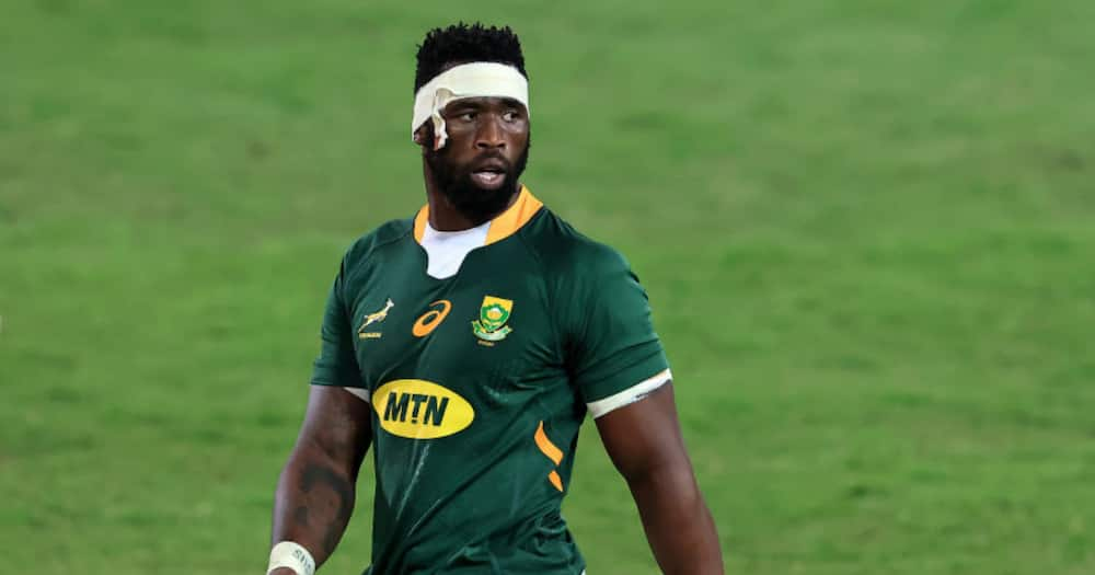 Siya Kolisi, Springboks, Lions series, Covid-19