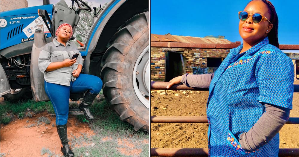 A heartbroken farmer woke up to a stolen tractor and Mzansi peeps came to her aid to support her.
