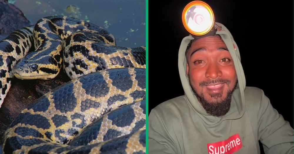 A man shared a TikTok video, showing himself coming across a giant anaconda while fishing at night.