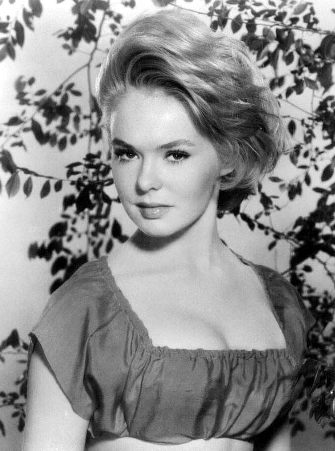 What does Joey Heatherton today look like: Full biography