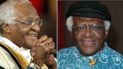 Archbishop Desmond Tutu's final wishes: Cheap coffin and no lavish spending, SA thinks the ANC won't listen