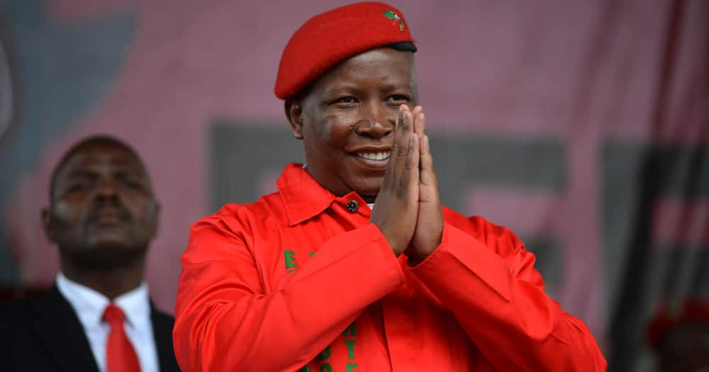 Julius Malema, Tender fraud, Hawks investigation, Marshal Dlamini