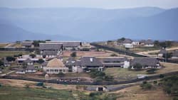 Nkandla architect corruption: Witness says that 14 consultants had sketchy certificates