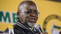 Minister of Energy and Mineral Resources Gwede Mantashe says fuel levies will increase if eTolls are scrapped