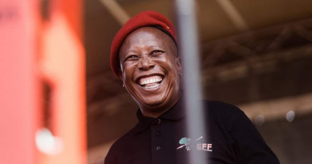 Julius Malema, EFF, Economic Freedom Fighters, politics, TikTok, viral video, South Africa