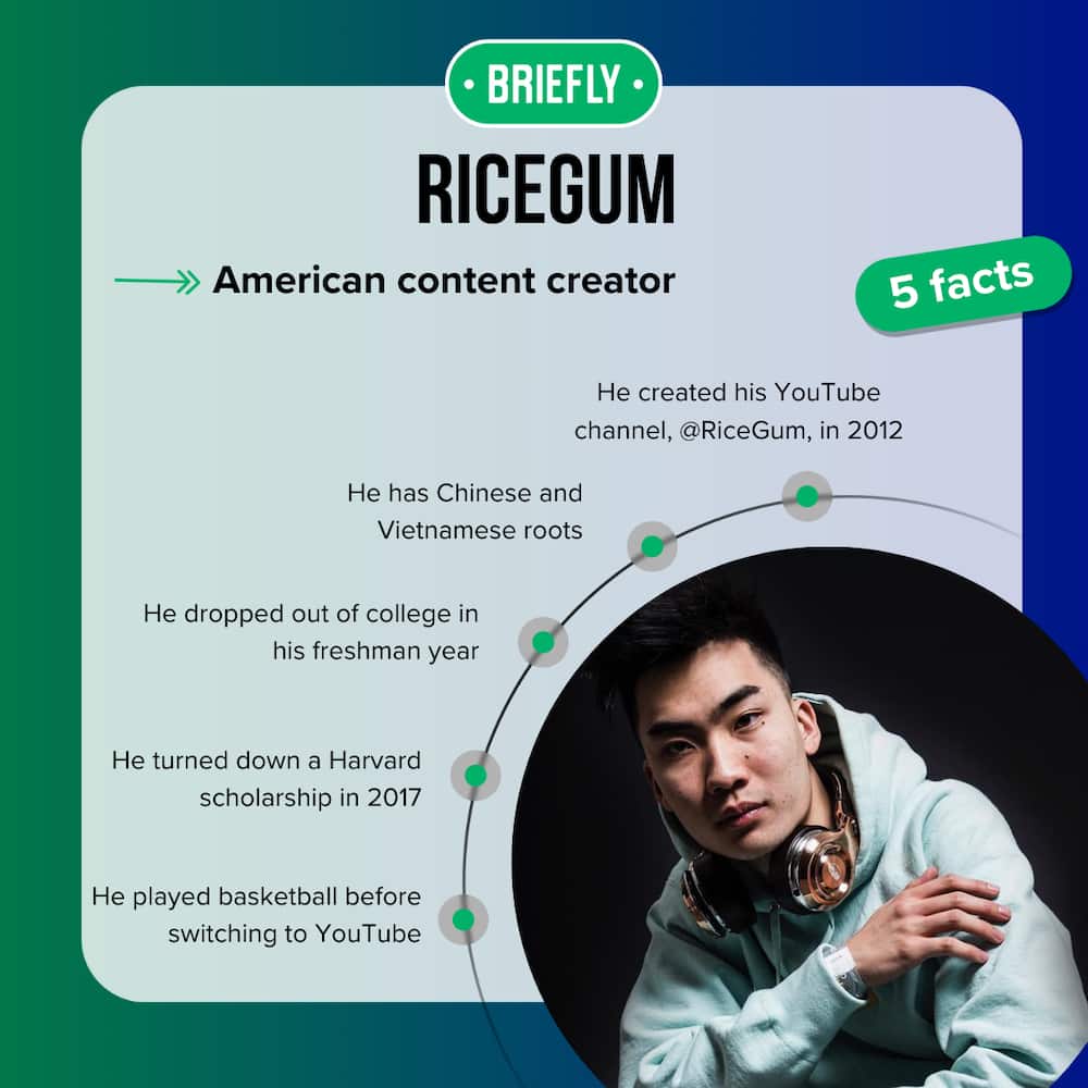 RiceGum's facts