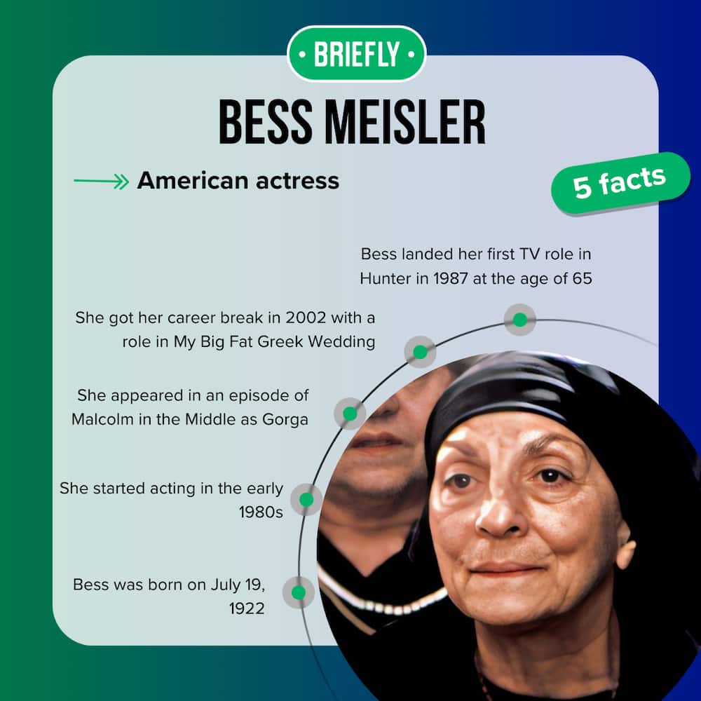 Bess Meisler Get to know the 'My Big Fat Greek Wedding' star Briefly