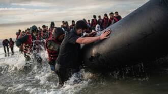 Online asylum application in South Africa in 2023: Everything you need to know