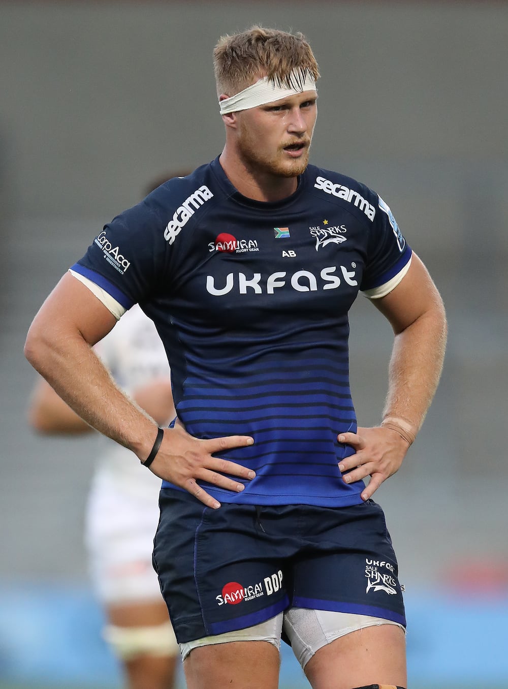 Rob du Preez named Gallagher Player of the Month