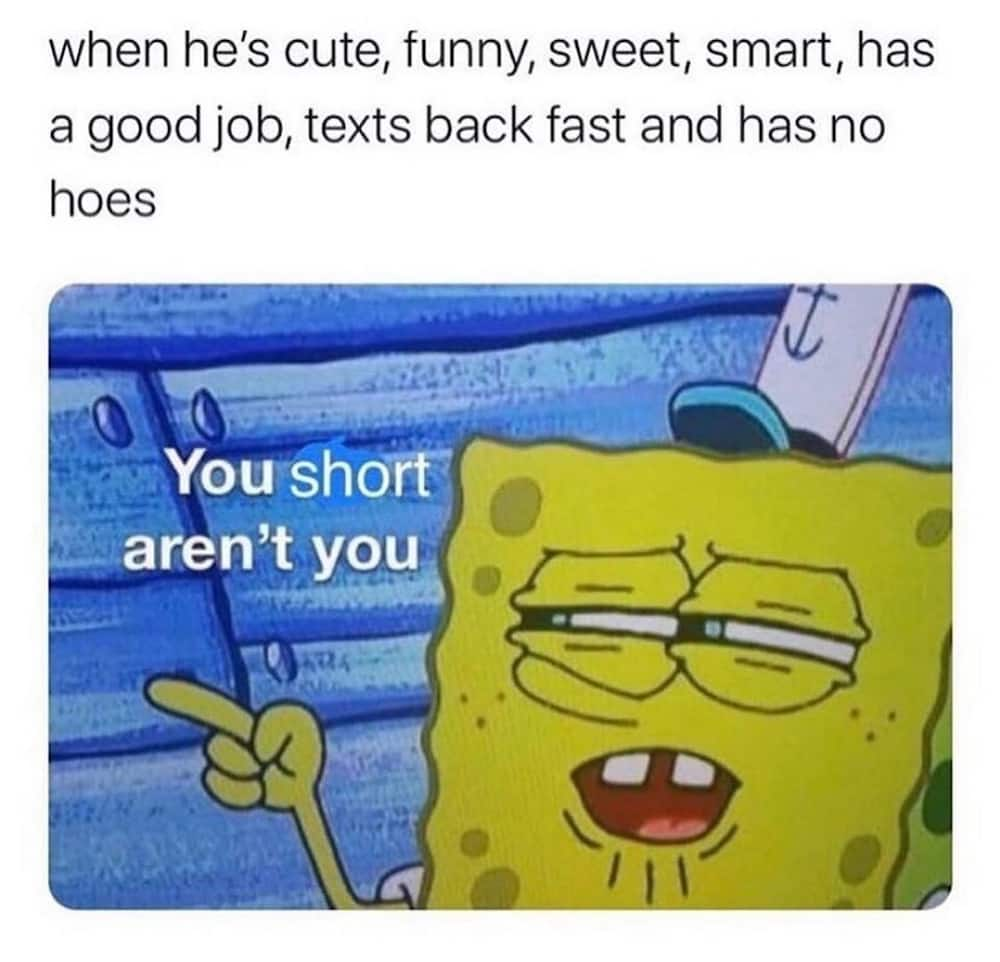 short man meme