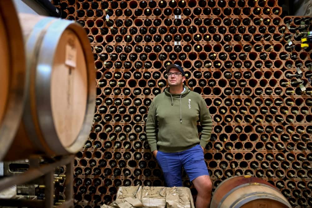 Bouncing back: Winegrower Peter Kriechel