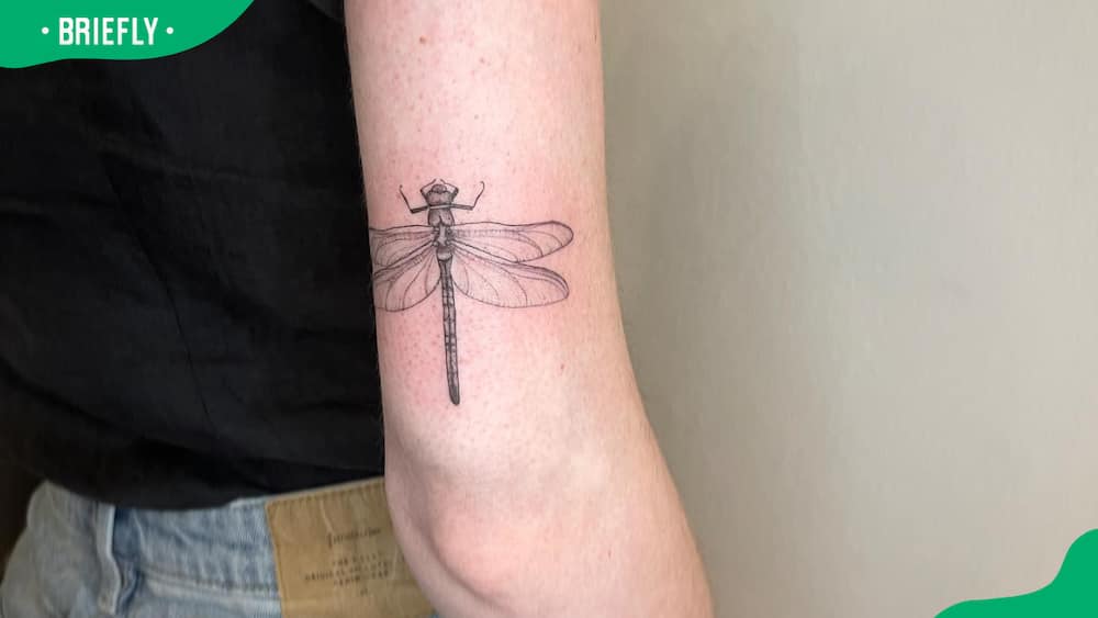 Back wrist dragonfly tattoo