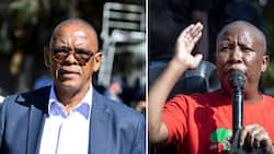 Ace Magashule sings EFF’s praises after meeting with party leader Julius Malema following expulsion from ANC