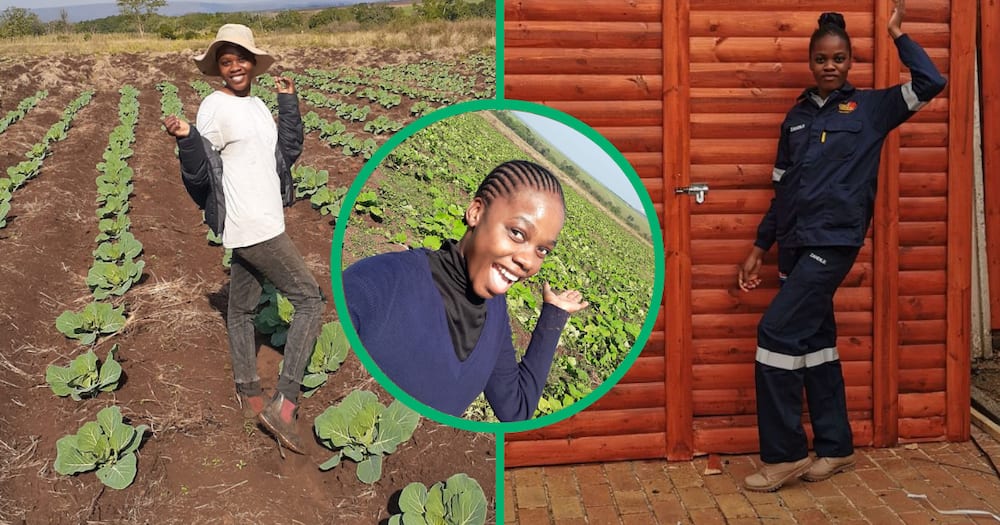 Zandile from Soweto is a carpenter who makes Wendy houses. Now she is a vegetable farmer.