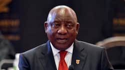 SONA2022: Ramaphosa's address fails to inspire confidence from SA: "We are tired"