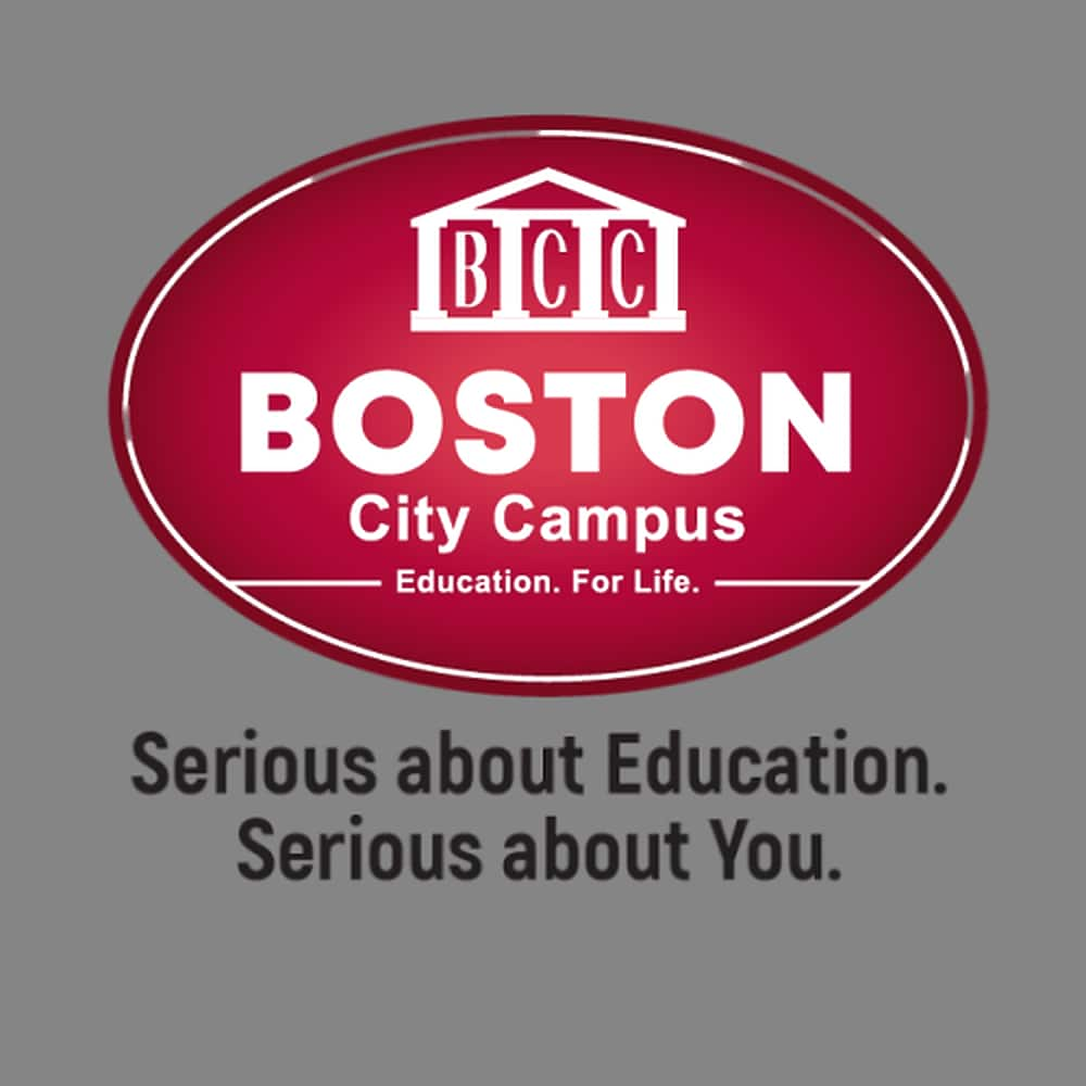 Boston College courses and fees 2023 Get the full list Briefly.co.za