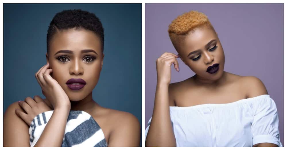 Natasha Thahane Boyfriend Natasha Thahane biography