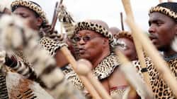 7 proud and powerful times Jacob Zuma fully embraced his Zulu culture in traditional attire