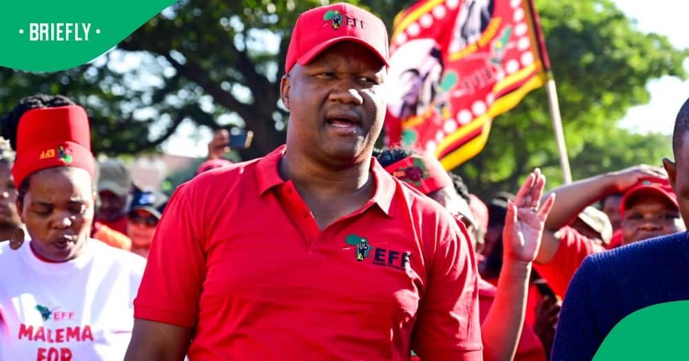 The EFF's secretary general Marshall Dlamini was given a suspended 18-month sentence for assault