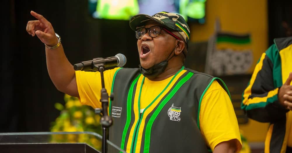 ANC SG Fikile Mbalula said party members will be held accountable for their failures