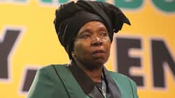 Nkosazana Dlamini-Zuma ordered to explain “erratic” ban of alcohol and cigarettes during lockdown