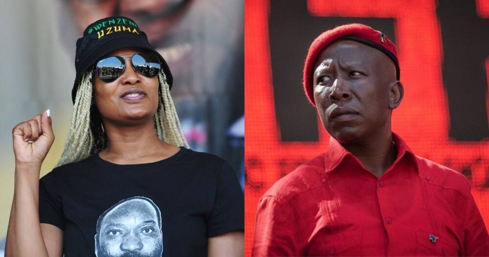 Duduzile Zuma, Julius Malema, EFF, video, Parliament, Mzansi reacts