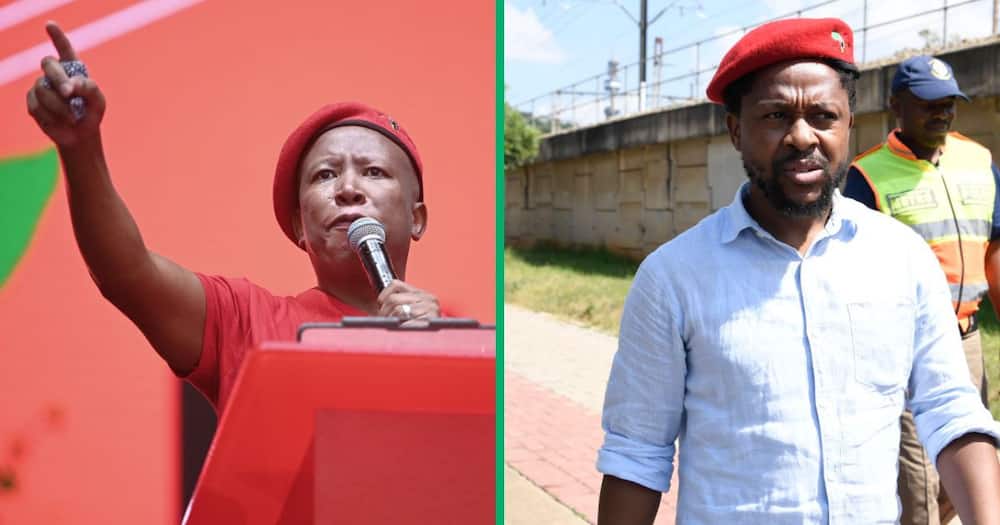 EFF's Julius Malema praised Mbuyiseni Ndlozi's finer qualities