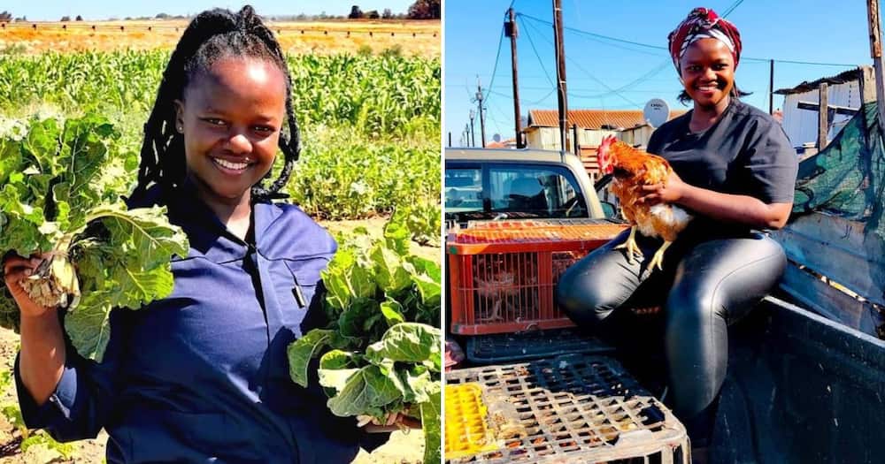 farmer, cape town, Khayelitsha, women in agriculture, agriculture, poultry farming, inspiration, young, spinach farming, spinach, peppers