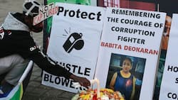 Gauteng government hires independent investigators to probe murdered Babita Deokaran's corruption allegations