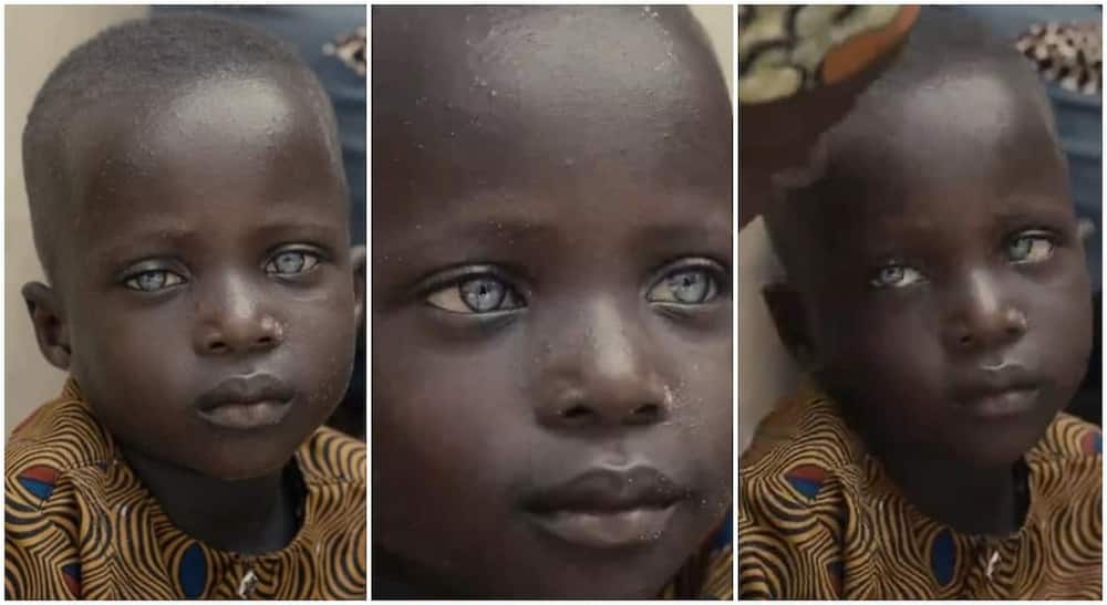 Cute little boy with beautiful pair of eyes and glowing black skin.