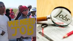 SA’s unemployment rate improves dropping to 32.9%, 7.7 million people still jobless
