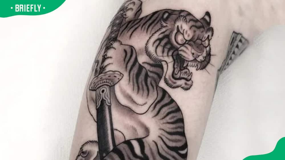 Japanese tiger and sword tattoo design