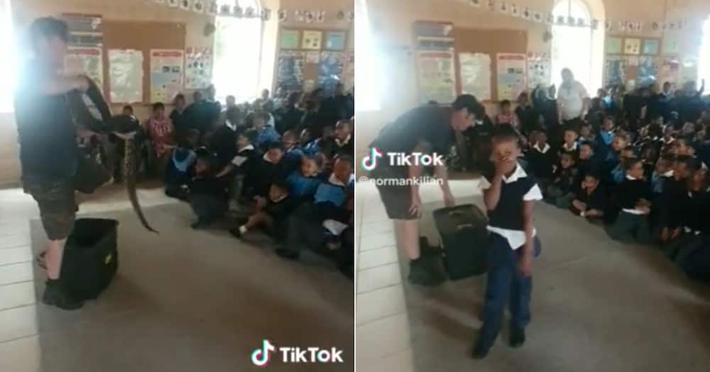 Children at school get scared by giant python