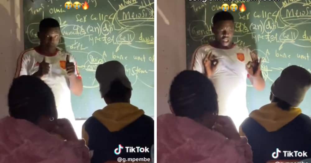 TikTok teacher teaching biology through song