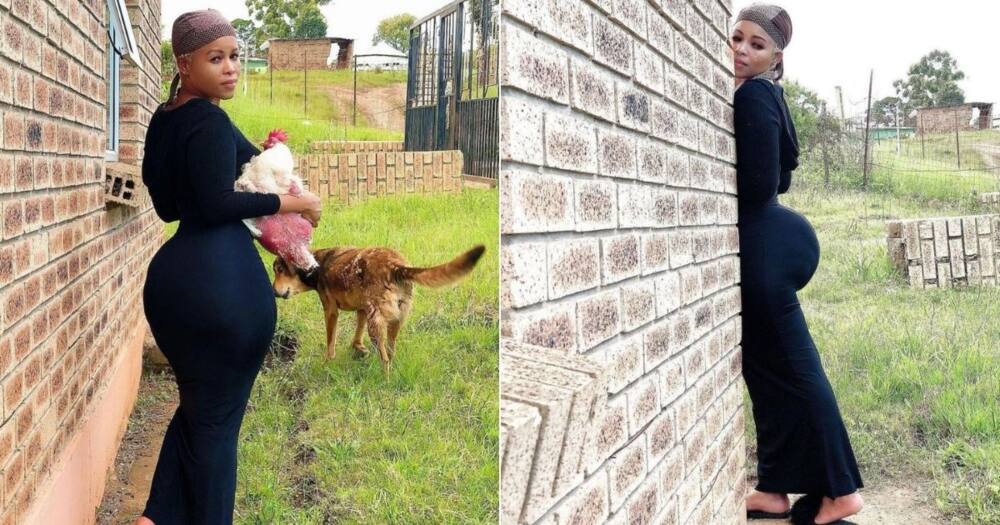 Stunning Woman, Chicken, Dog, South Africa