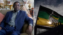 ANC will loot more in 15 months leading to 2024 general elections, political analyst Moeletsi Mbeki claims