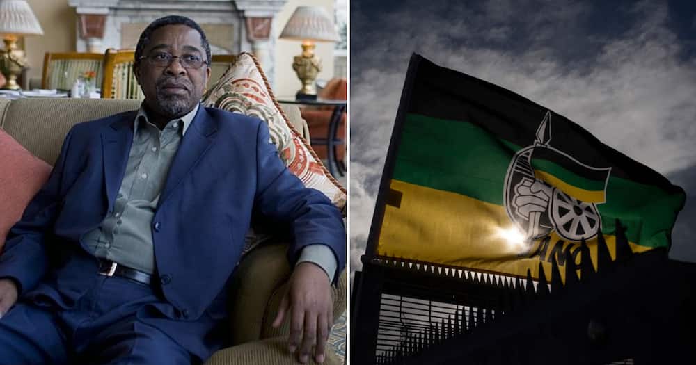 Moeletsi Mbeki claims the ANC will loot more in the next 15 months